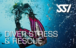 Diver-Stress-&-Rescue.jpg