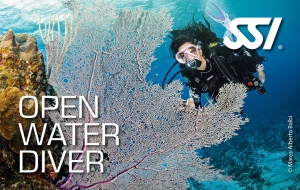 Open_Water_Diver.jpg